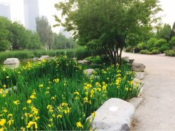 iphone_upload_pic-大望京儿童游乐场