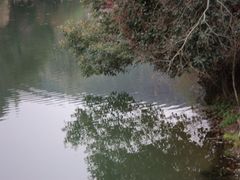 -桃花岭景区