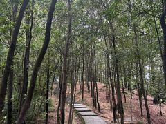 -火炉山森林公园
