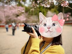 -醍醐寺