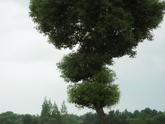 -山明水秀大饭店