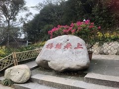 -普陀山风景区-佛顶山