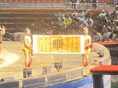 -灵玲国际马戏城