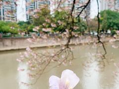 -红星桥(地铁站)