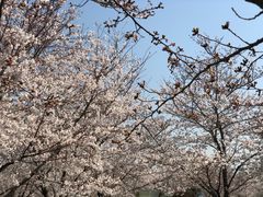 -龙美术馆(西岸馆)