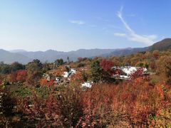 -塔川景区