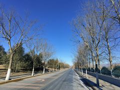 -永定河休闲森林公园