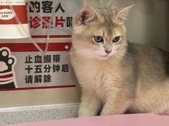 -御宝贝24h宠物医院·转诊中心·CT核磁血透中心(厦门总院)