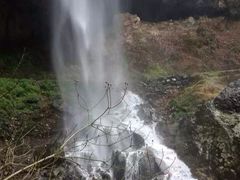iphone_upload_pic-酒仙湖景区