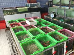 -众味海鲜大排档·活海鲜·潮汕味(南澳店)