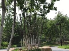 -回龙观体育文化公园