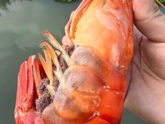 -七的湖·江南蟹舫·阳澄湖农家菜(蟹舫苑店)