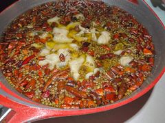 -雲蜀龙阁·金牌水煮鱼(方庄店)