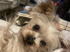 -北平小馆·烤鸭·家常菜(磨房北里店)