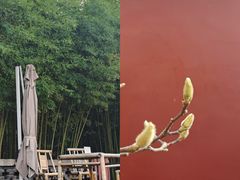 -泰山风景名胜区-普照寺