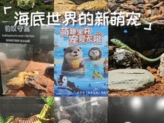 -太平洋海底世界