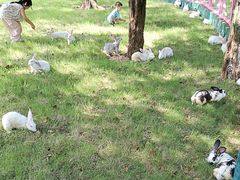 -白马涧龙池景区