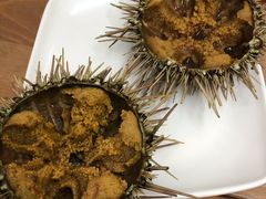 活海胆-海胆小馆(春柳店)