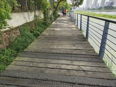 -月湖风景区