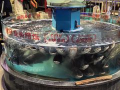 -魏铭鱼头捞饭(晋阳路店)