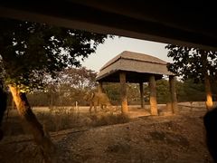 -清迈夜间动物园