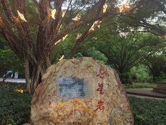 -星湖旅游景区七星岩