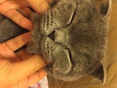iphone_upload_pic-爱宠屋pet shop·宠物洗澡·宠物美容
