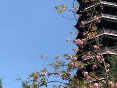 -武汉园博园(武汉自然博物馆)