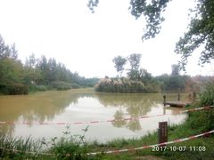 -白鹭湾湿地公园