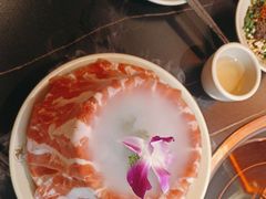 -蜀大侠火锅(四川北路店)