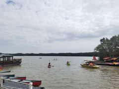 -上海海湾国家森林公园