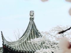-苏州上方山国家森林公园