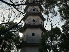 -江心屿景区