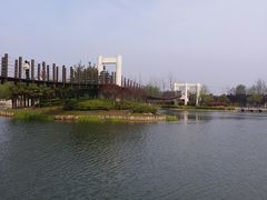 -上海鲜花港
