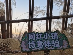 -诗经里