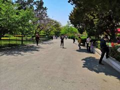 -青岛中山公园-索道售票处