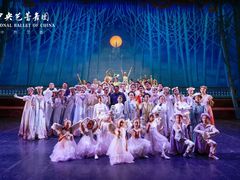 -中央芭蕾舞团·中芭艺蕾(酒仙桥明星校区)