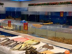 -北塘海鲜·天津菜·鲅鱼水饺是一绝(大光明桥旗舰店)