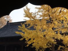 -钱王祠