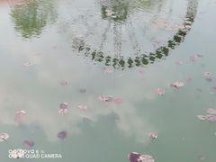 -太湖湖滨国家湿地公园-停车场