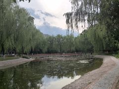 -丰台科技园生态主题公园