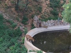 -石家庄市动物园