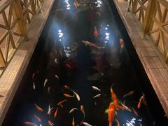 -侠成水上农庄(工业大道店)