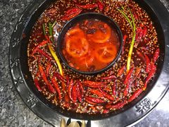 -蜀大侠火锅(建设路第五大道店)