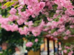 -龙华寺