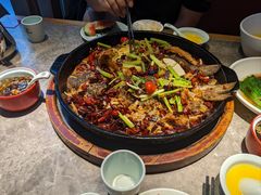 -老板恋上鱼(恒隆广场店)