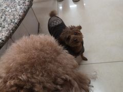 -官厅老勾渔馆(温泉店)