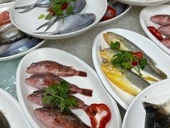 -杨记海鲜楼(三门黑金冠店)