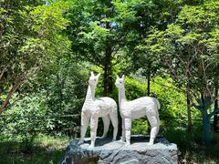 -栾川竹海野生动物园