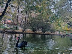 -长白岛森林公园